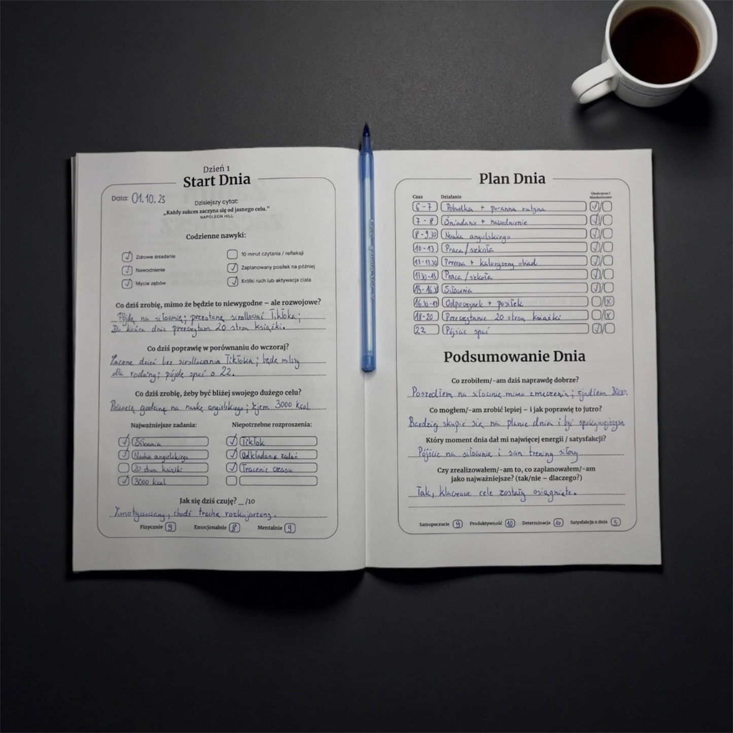 Dziennik “W Stronę Sukcesu”